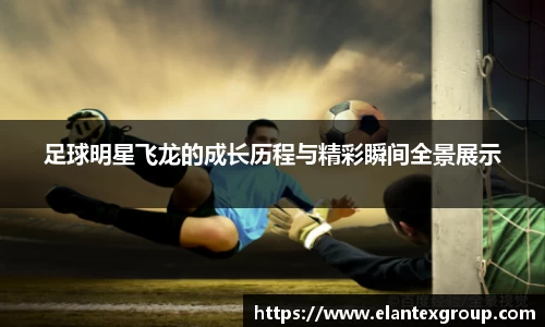 足球明星飞龙的成长历程与精彩瞬间全景展示