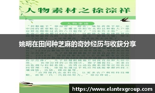 姚明在田间种芝麻的奇妙经历与收获分享
