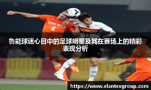 鲁能球迷心目中的足球明星及其在赛场上的精彩表现分析