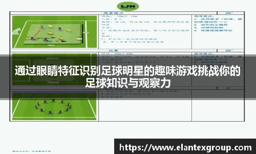 通过眼睛特征识别足球明星的趣味游戏挑战你的足球知识与观察力